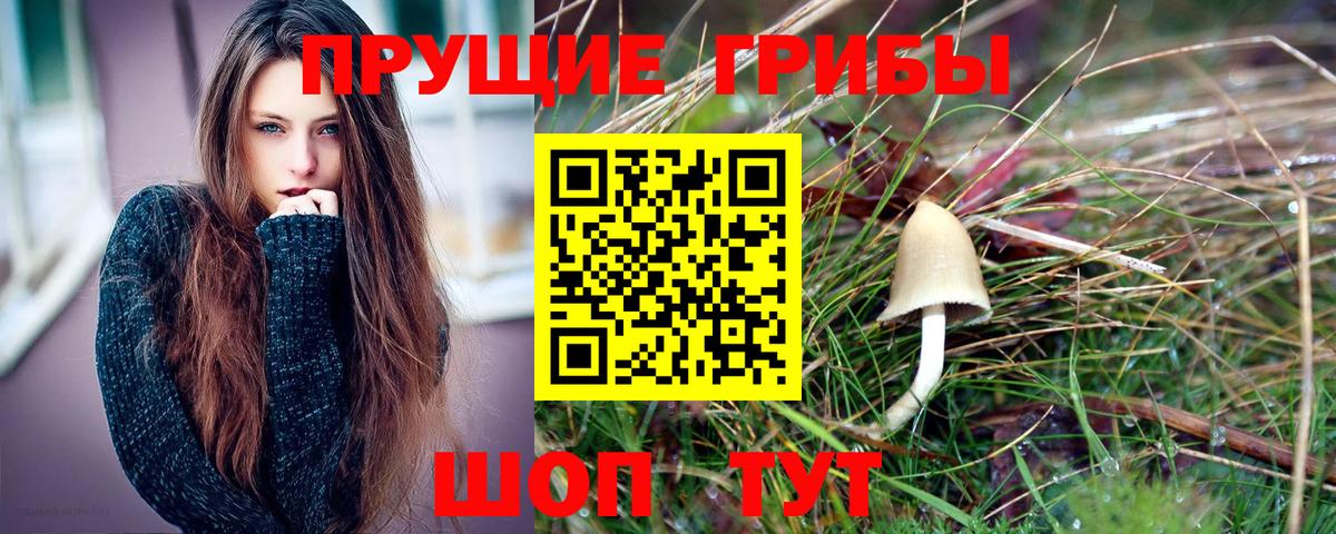 Псилоцибиновые грибы Magic Shrooms Югорск