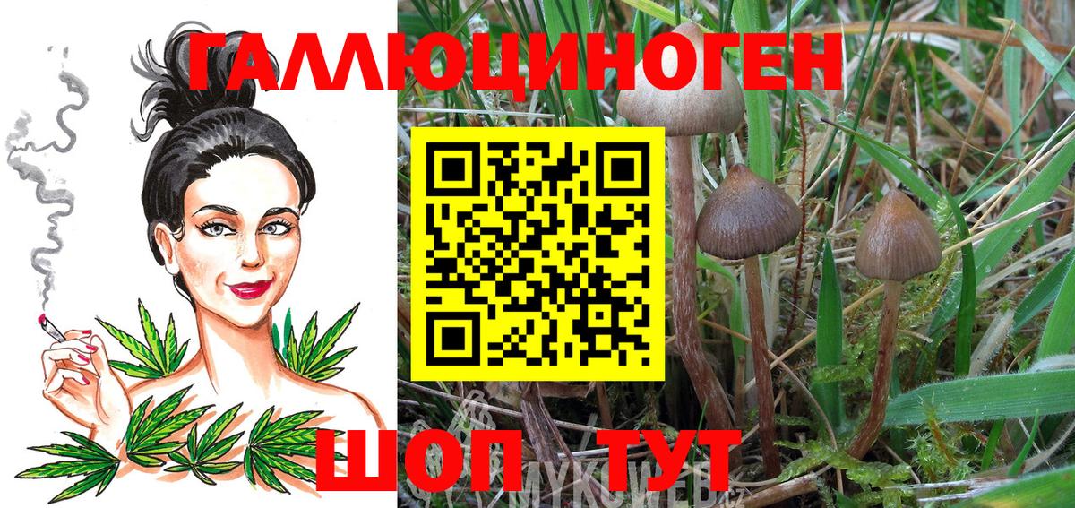 Псилоцибиновые грибы Psilocybine cubensis  Вход с VPN  Югорск  Галлюциногенные грибы Magic Shrooms 